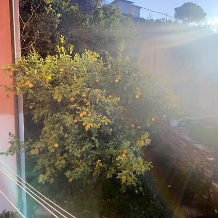 Dalla Franca Chiavari