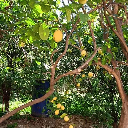 Gæstehus Dalla Franca Chiavari