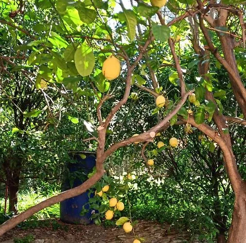 Gæstehus Dalla Franca Chiavari